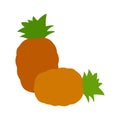 Two pineapples, tropical fruit icon, vector drawing with illustration design