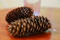 Two pinecones Royalty Free Stock Photo