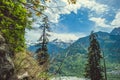 Two pines on background blue sky with clouds and Himalayan mountans