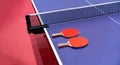 Two pingpong table tennis rackets for playing are laid on next to net on the blue table. This is one of ping pong sports equipment