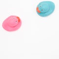 Two pink and blue ducks, on a white background with copy space. Minimalist art scene