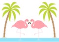 Two pink flamingo couple standing on one leg. Palms tree, island, ocean, see water. Exotic tropical bird. Zoo animal collection. C Royalty Free Stock Photo