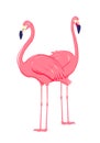 Two pink flamingo. Cute and beautiful flat pink flamingo on white background, summer design for print, kids drawing Royalty Free Stock Photo