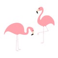 Two pink flamingo icon set. Exotic tropical bird. Zoo animal collection. Cute cartoon character. One leg. Looking on the ground. D Royalty Free Stock Photo