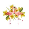 Two pink flamingo, romantic couple in love with yellow plumeria frangipani flowers. Tropical exotic bird rose flamingos Royalty Free Stock Photo