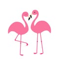 Two pink flamingo set. Exotic tropical bird with eyes. Zoo animal collection. Royalty Free Stock Photo