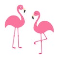 Two pink flamingo set. Exotic tropical bird with eyes. Zoo animal kids collection. Cute cartoon character. Decoration element. Fla Royalty Free Stock Photo