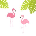 Two pink flamingo set. Exotic tropical bird. Zoo animal collection. Royalty Free Stock Photo