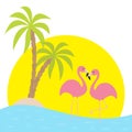 Two pink flamingo standing on one leg. Palms tree, island, ocean, see water wave, sun set. Exotic tropical bird. Zoo animal collec Royalty Free Stock Photo