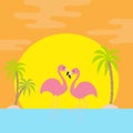 Two pink flamingo standing on one leg. Palms tree, island, see ocean water wave, sun set. Exotic tropical bird. Zoo animal collect Royalty Free Stock Photo