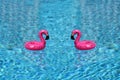 Two pink flamingo swimming rings floating in a blue pool. Royalty Free Stock Photo