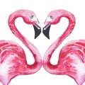 Two pink flamingos in love forming a heart. Watercolor illustration. Royalty Free Stock Photo