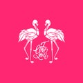 Two pink flamingos in love, logo, decorative silhouette, vector Royalty Free Stock Photo