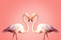 Two pink flamingos making a heart shape Royalty Free Stock Photo