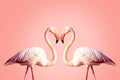 Two pink flamingos making a heart shape Royalty Free Stock Photo