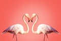 Two pink flamingos making a heart shape. Concept for Valentine`s day Royalty Free Stock Photo