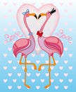 Two pink flamingos