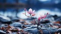 two pink flowers growing out of rocks near a lake Royalty Free Stock Photo