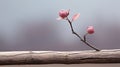 two pink flowers are sitting on top of a wooden branch