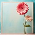 Two pink gerbera flowers on a blue background. Photo frame. Royalty Free Stock Photo