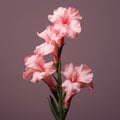 Photorealistic Gladiolus Flowers Blooming Against Gray Background