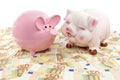 Two pink piggy banks on spread euro notes