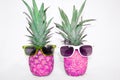 Two pink pineapple in sunglasses on a white background. Royalty Free Stock Photo