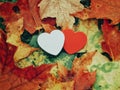 Two pink red small foam hearts lying on ground in autumn fall red yellow orange maple leaves. Concept of love, friendship, family Royalty Free Stock Photo