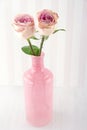 Two pink roses in a glass bottle Royalty Free Stock Photo