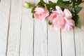 Two pink roses on old wooden table Royalty Free Stock Photo
