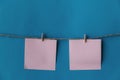 Two pink sheets of paper with place for text hanging on rope isolated blue background. Royalty Free Stock Photo