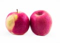 Two pink - yellow apples on a white background - front view Royalty Free Stock Photo