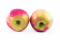 Two pink - yellow apples on a white background - side view Royalty Free Stock Photo