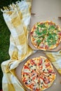 Two pizzas in the food carton on the grass, picnic concept