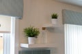 Two Plants & jar on Kitchen Shelving Royalty Free Stock Photo