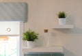 Two Plants & jar on Kitchen Shelving Royalty Free Stock Photo