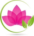 Two plants, leaves, wellness and naturopathic logo