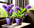 Two plants with purple flowers resting on a shelf near a well illuminated window