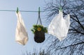 Two plastic bags and a pot of flowers are hanging on a wire.