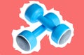 Two plastic blue dumbbells