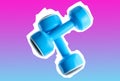 Two plastic blue dumbbells