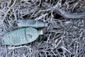 Two plastic bootles, covered with icing discarded in grass, ecology and waste managment