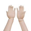 Two plastic dummy hands holding some invisible thing. Isolated on white background.