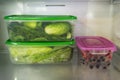 Two plastic food containers with green vegetable and one with berries on a shelf of a fridge. Royalty Free Stock Photo