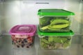 Two plastic food containers with green vegetable and one with berries on a shelf of a fridge.