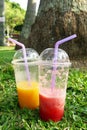 Two plastic glasses with mango juice and watermelon juice on a grass. Royalty Free Stock Photo