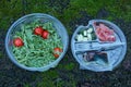 Two plastic plates with salad and tomatoes and a set of food with a fork