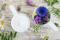 Two plastic scoops with various wild flowers and facial cream mask with herbal extracts. Ingredients of natural cosmetic.