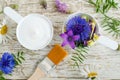 Two plastic scoops with various wild flowers and facial cream mask with herbal extracts. Ingredients of natural cosmetic. Royalty Free Stock Photo