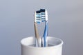 Two plastic toothbrushes kissing in toothbrush cup on grey background representing a couple in love. Dental care, romantic Royalty Free Stock Photo